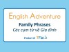English Adventure - "FAMILY " PHRASES