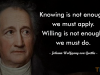 Knowing is not enough; we must apply. Willing is not enough; we must do.