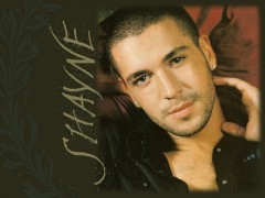 No Promises - Shayne Ward