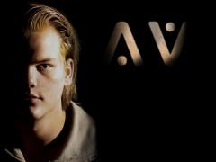 Hey Brother - Avicii